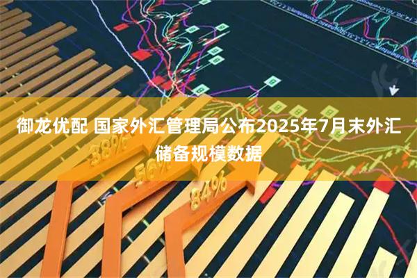 御龙优配 国家外汇管理局公布2025年7月末外汇储备规模数据