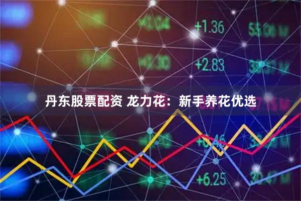 丹东股票配资 龙力花：新手养花优选