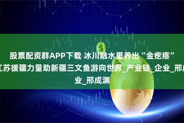 股票配资群APP下载 冰川融水里养出“金疙瘩”！江苏援疆力量助新疆三文鱼游向世界_产业链_企业_邢成渊